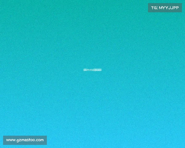 中国mma赛事出场费